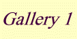 Gallery 1