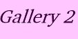 Gallery 2