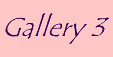 Gallery 3